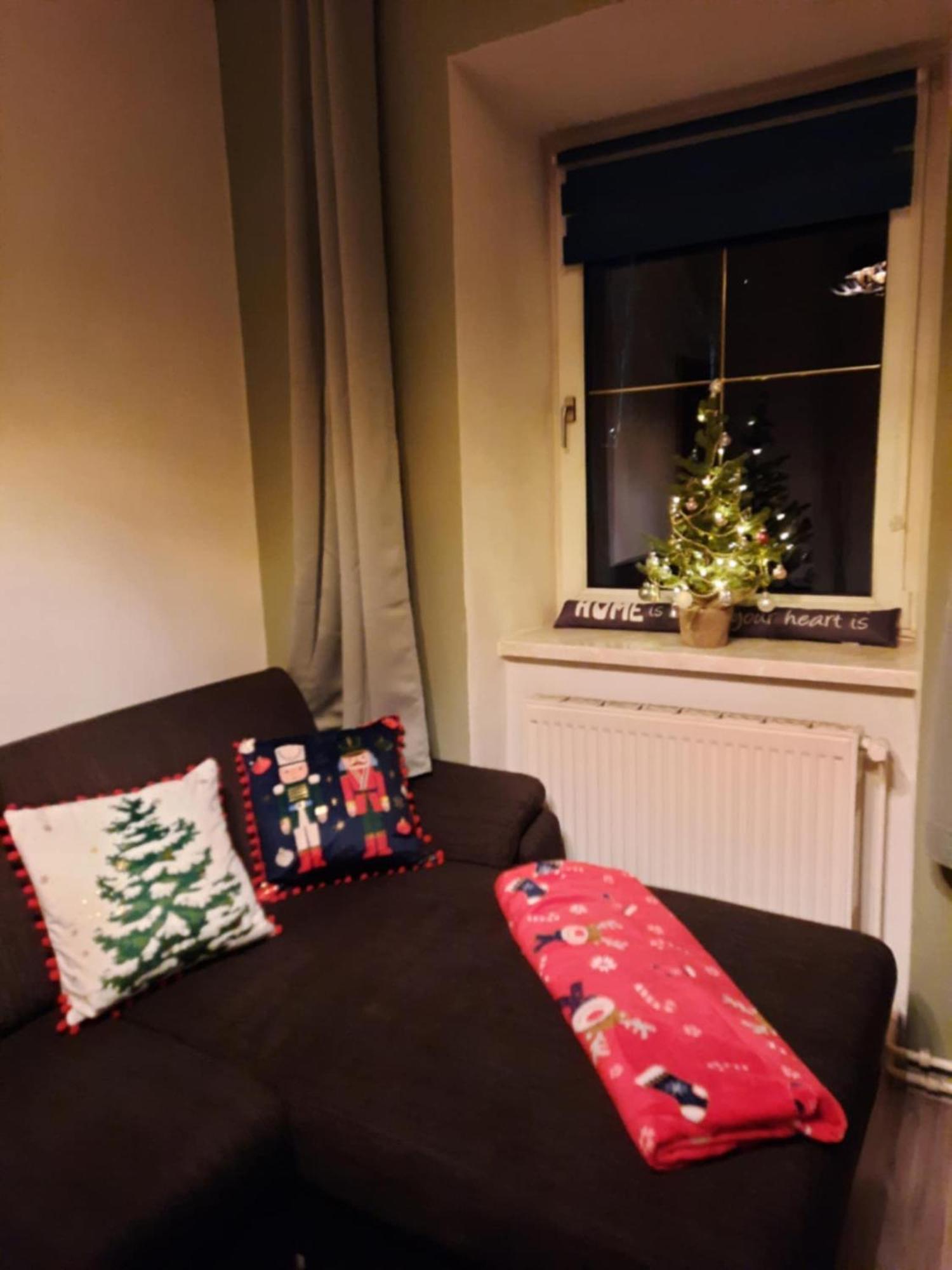 Ausseerland Apartments - Relax, Ski, Hike And Bike, Garden, Parking, Bbq, Near Hallstatt, Loser, Tauplitz And Krippenstein, Free Wi-Fi And Netflix Bad Aussee Room photo