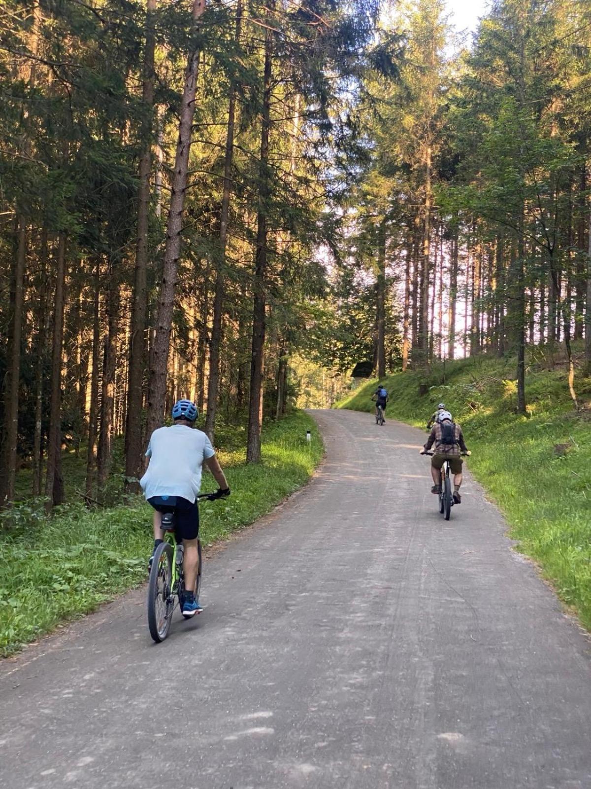 Ausseerland Apartments - Relax, Ski, Hike And Bike, Garden, Parking, Bbq, Near Hallstatt, Loser, Tauplitz And Krippenstein, Free Wi-Fi And Netflix Bad Aussee Exterior photo